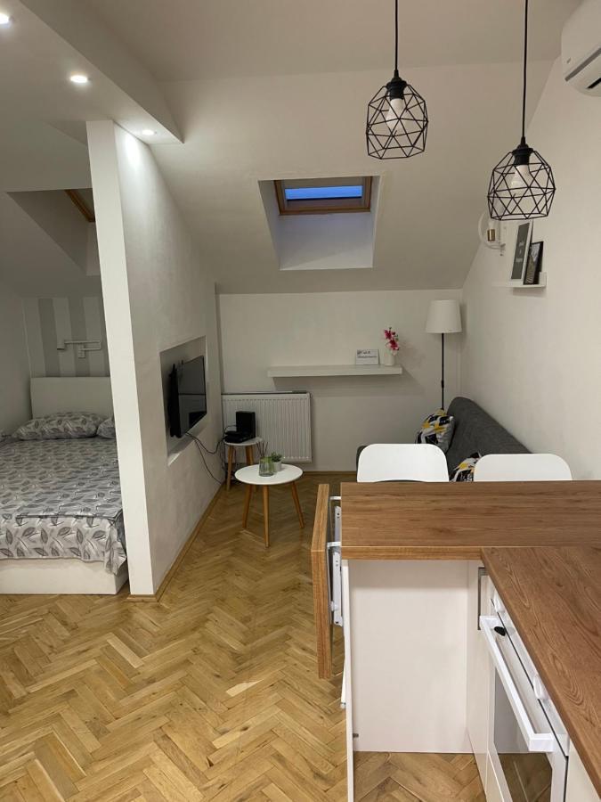 Stella Appartment نوفي ساد المظهر الخارجي الصورة